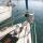 Sailboat Bavaria 46 Cruiser for hire in Port Lavrio