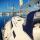 Yacht Bavaria 46 Cruiser for rent in Marina Drage