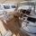 Segelyacht Dufour 520 Grand Large Yachtcharter in La Paz
