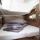 Sailing yacht Oceanis 46.1 for rent in Pomer-194014-18 Sailing yacht Oceanis 46.1 for rent in Pomer