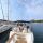 Yacht Sun Odyssey 54 DS Yachtcharter in Split