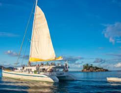 Kat Mojito 78 chartern in Eden Island Resort