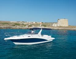 Motorboat Faeton 26 scape for rent in Mahon
