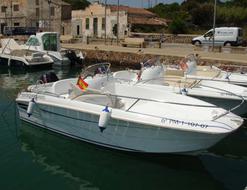 Motorboat Flyer 500 open for rent in Mahon