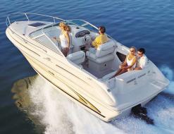 Motorboat Sea Ray 215 for rent in Waren