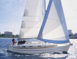 Segelyacht Bavaria 36 chartern in Marina Jachtwerf Maronier