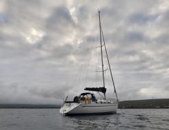 Yacht Bavaria 36 Cruiser chartern in Hjellestad Marina