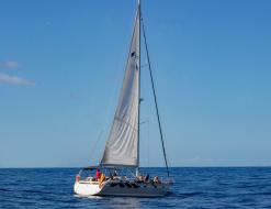Segelyacht Bavaria 55 Yachtcharter in Puerto Colon