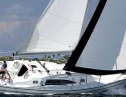 Yacht Catalina 309 chartern in Vinoy Resort Marina