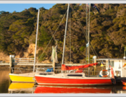 Segelyacht Davidson 20 Yachtcharter in Bay of Islands Marina