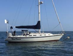 Yacht Ericson 38 available for charter in Brewer Cove Haven Marina