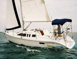 Segelboot Hunter 290 chartern in Tarpon Point Marina