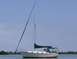 Yacht Island Packet 31 Yachtcharter in Tarpon Point Marina