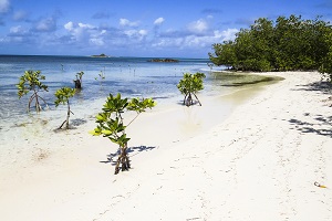 Cuba Sailing - Cayo Santa Maria | YACHTICO.com