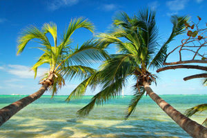 Törnvorschlag für die Bahamas