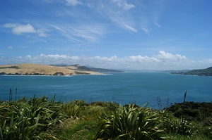 Route Suggestion Bay of Islands – Sailing along the coast of New Zealand