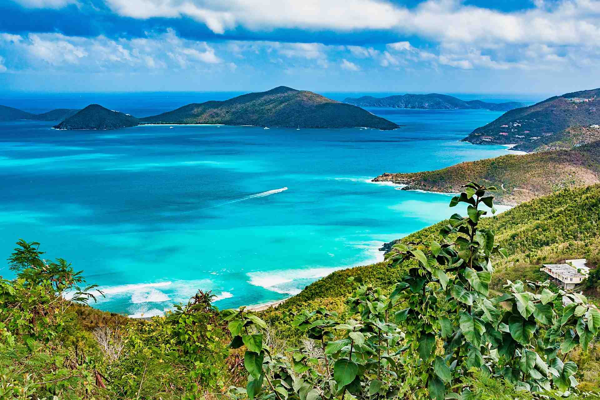 BVI