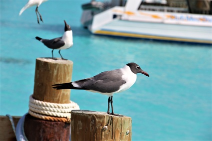 1 week Itinerary Abaco - Marsh Harbour - Sailing Bahamas