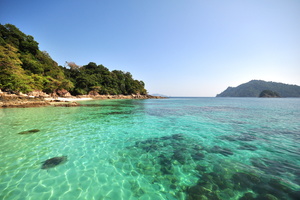 7 Day Itineraries for Tortola - Route Suggestions Tortola