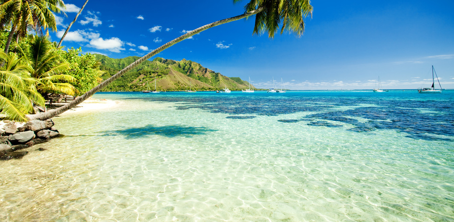 Yacht Vacation in NORTH AMERICA